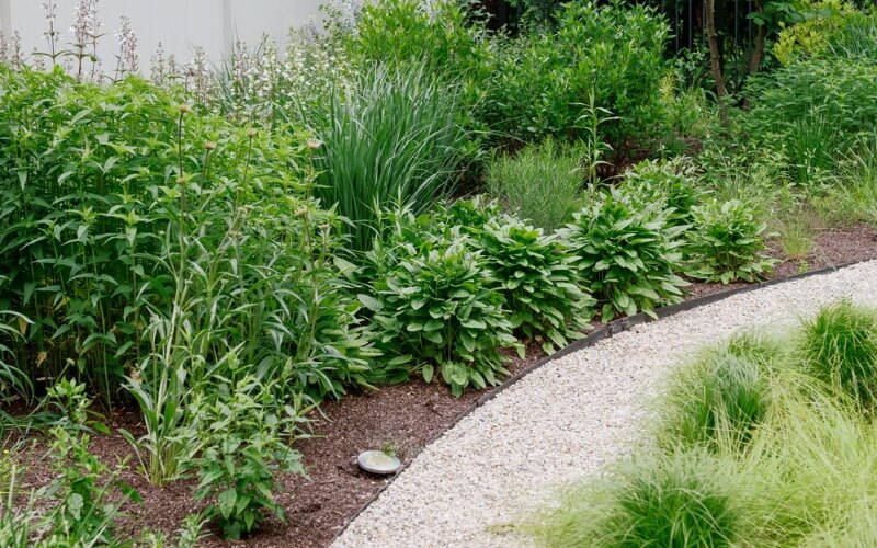 Park Ridge landscape
